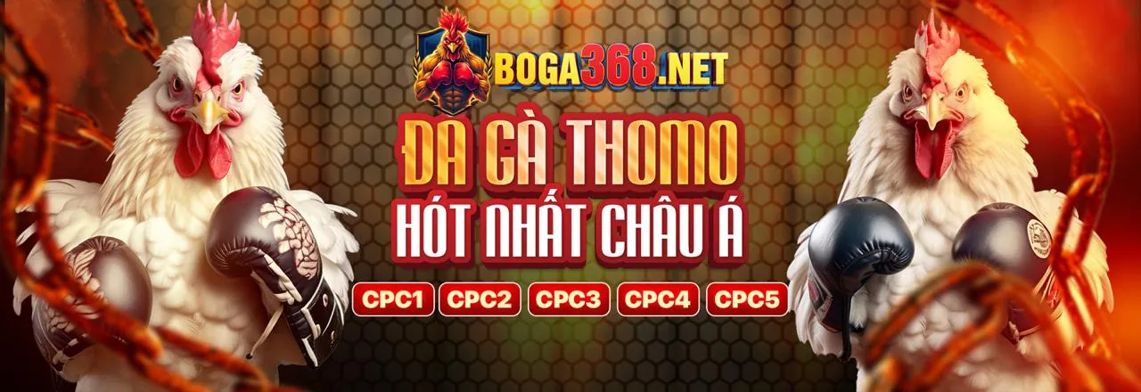 Hình ảnh nền FFOK với biểu tượng bảo mật và cá cược thể thao