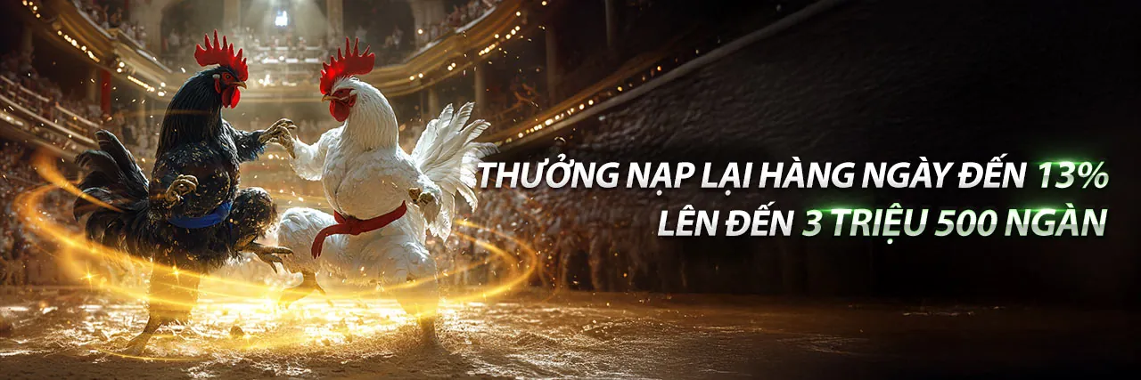 Hình ảnh chính ffok Câu hỏi thường gặp