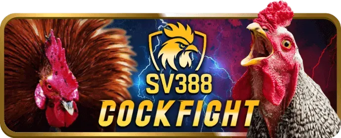 Lời khuyên an toàn khi chơi sòng bạc trực tiếp tại ffok link vào